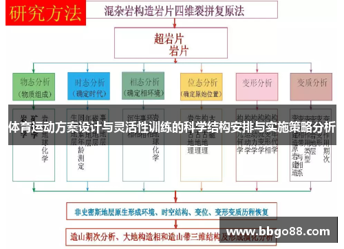 体育运动方案设计与灵活性训练的科学结构安排与实施策略分析